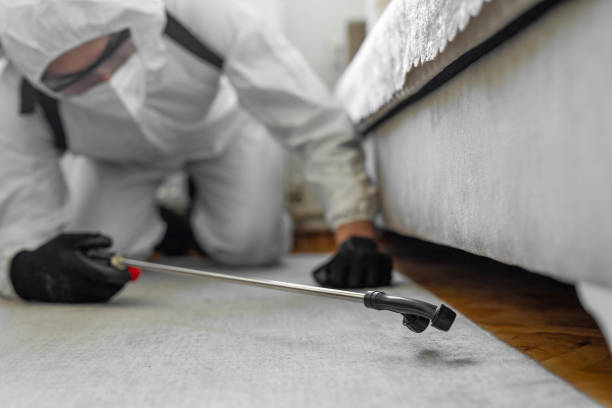 Professional Cockroach Control technician working in Gillett, WI